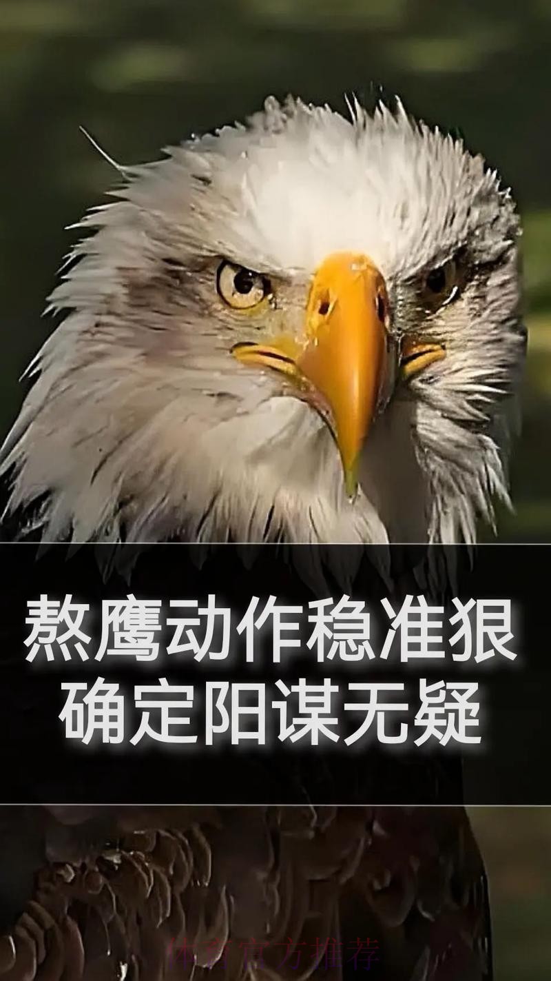 无限期休战,最大赢家出现!老鹰认清现实,火速解散东决班底 无限期休战,最大赢家出现!老鹰认清现实,火速解散东决班底